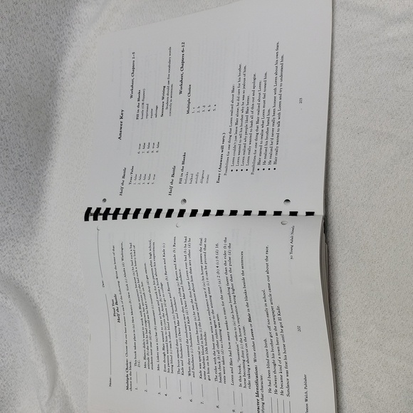 50 Young Adult Novels: Synopses , Worksheets, and Tests - VINTAGE - Picture 12 of 16